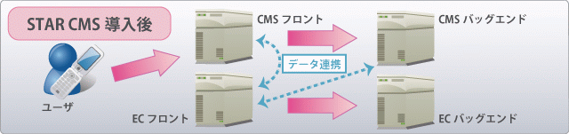 STAR CMS導入後のシステム概念図